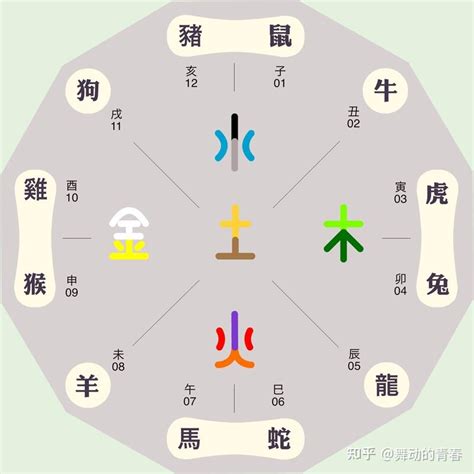 十二時辰五行|十二时辰对应五行属相 十二时辰对应五行属性表